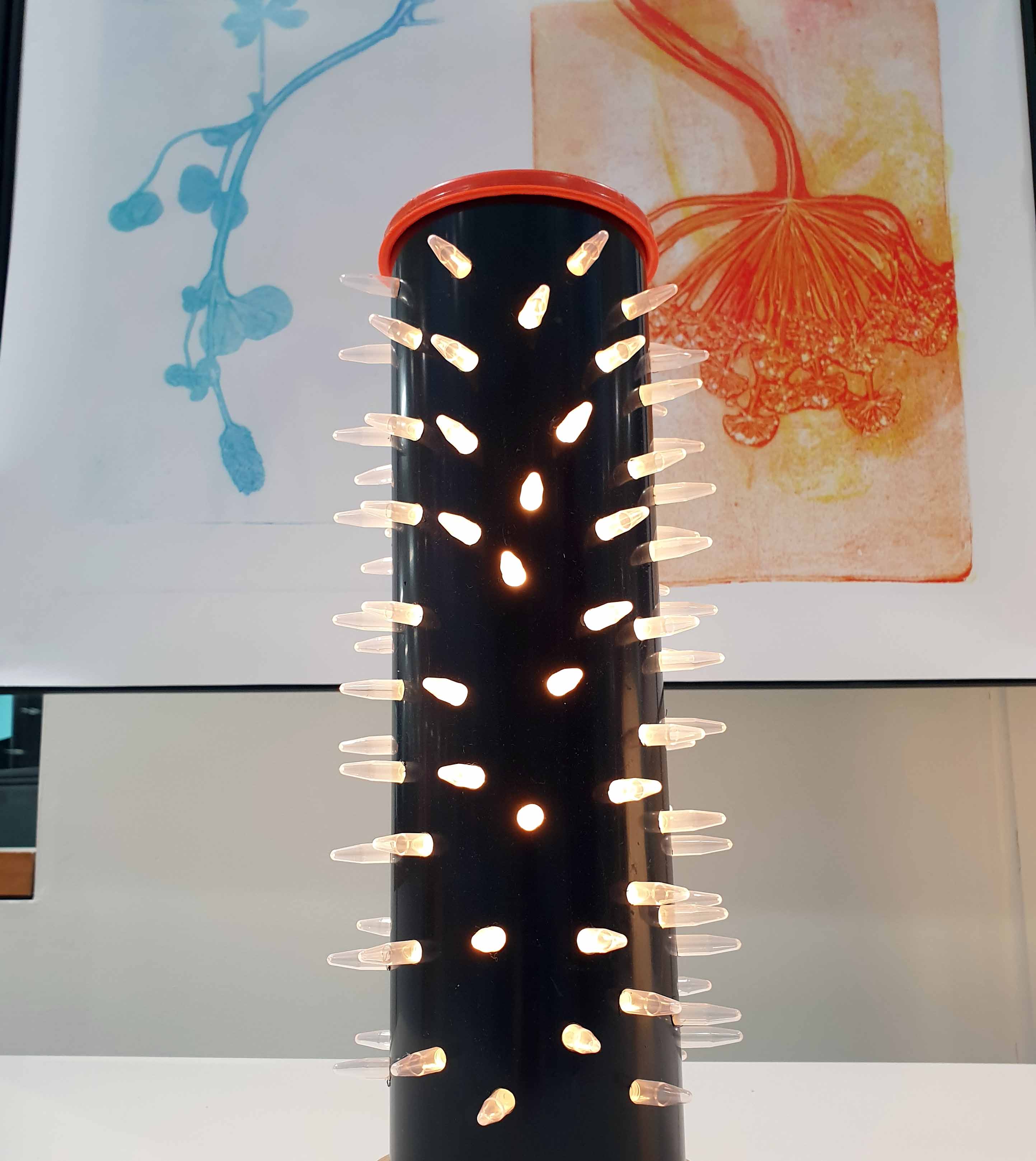 lamp made from PCR tubes  by Adrian Draigo and prints by Tara Sampy